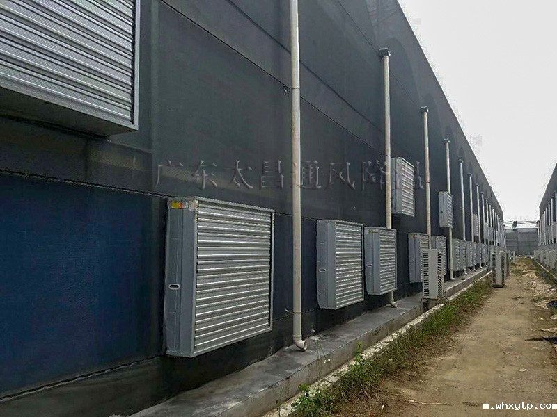 负压风机降温方案