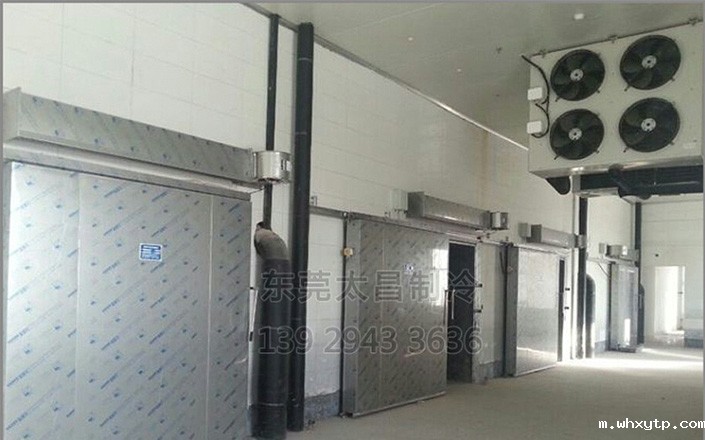 什么是蔬菜水果保鲜冷库？蔬菜水果保鲜冷库多少钱？