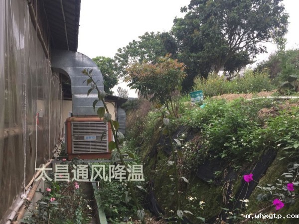 餐厅太热？环保空调为你送清风