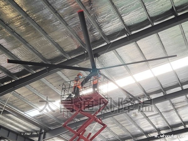 工业大风扇-舒适健康环境缔造者