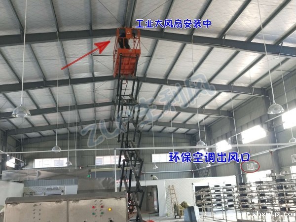 食品厂扇机互补降温案例