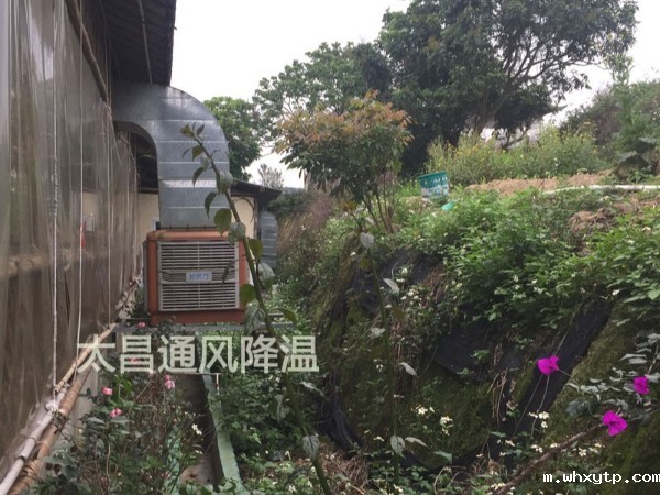 天气太热?环保空调为你的餐厅守护清凉