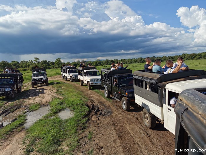 e6d9ef1a0cf5f18c456783dd802