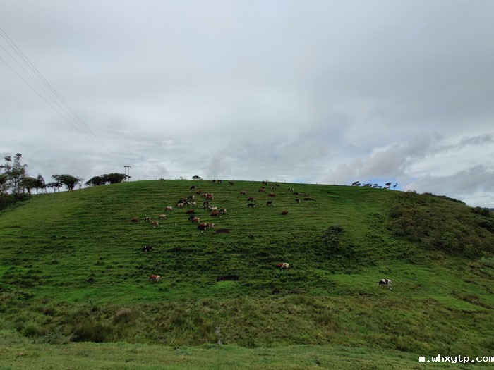 微信图片_20191017144146