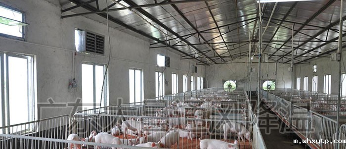 养殖场通风降温