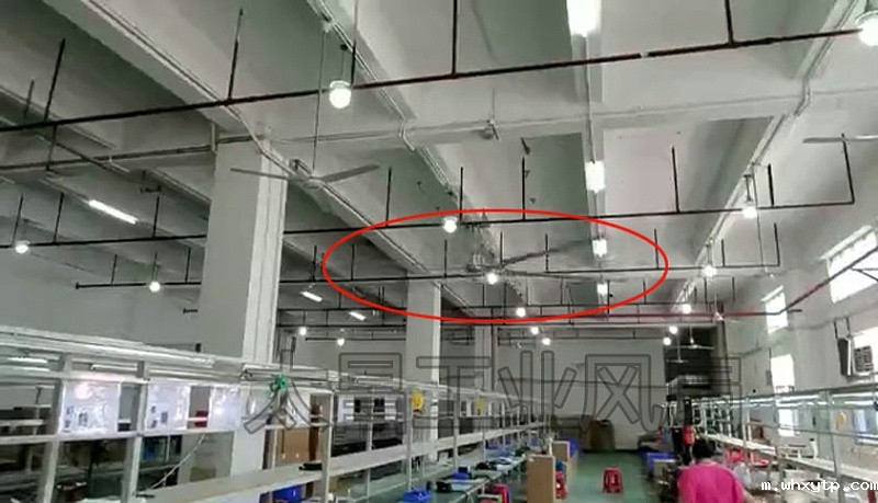 工业大风扇-华体会体育手机永磁直驱工业